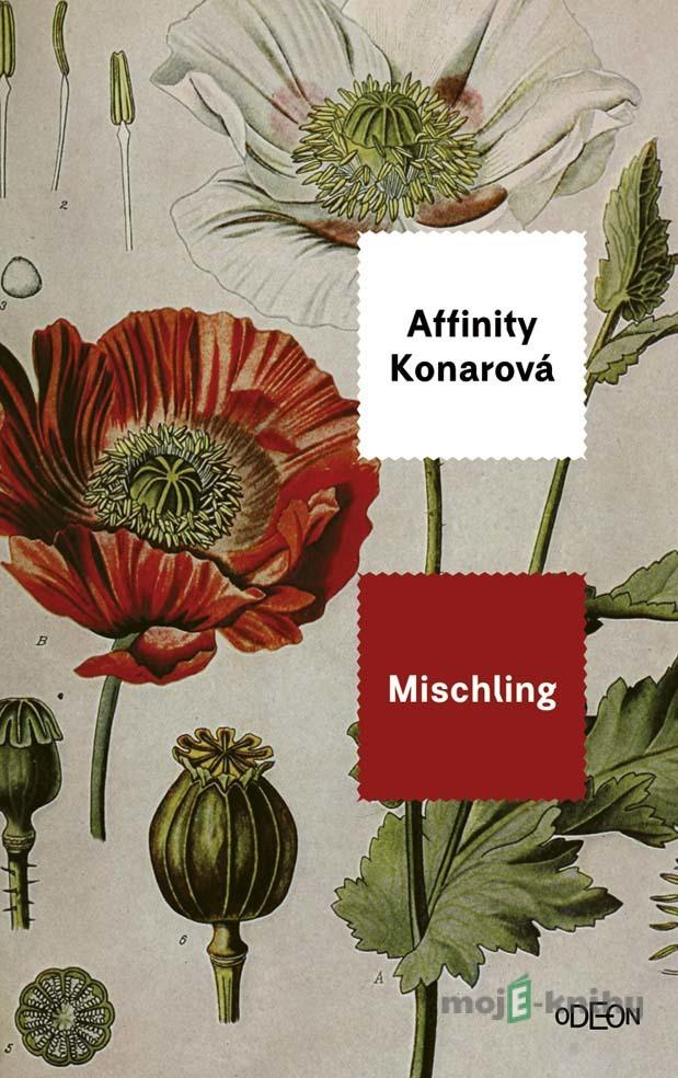 Mischling - Konar Affinity Mischling - Konar Affinity