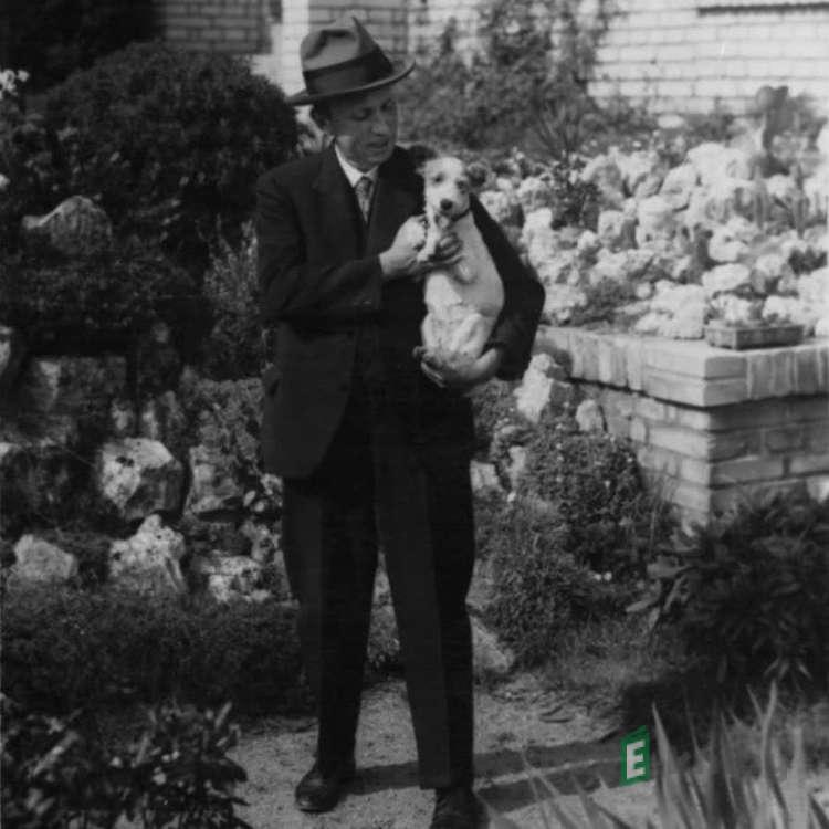 Dášeňka čili život štěněte (1976) - Karel Čapek Dášeňka čili život štěněte (1976) - Karel Čapek