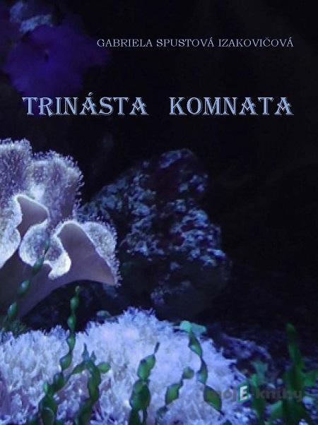 Trinásta komnata - Gabriela Spustová Izakovičová Trinásta komnata - Gabriela Spustová Izakovičová