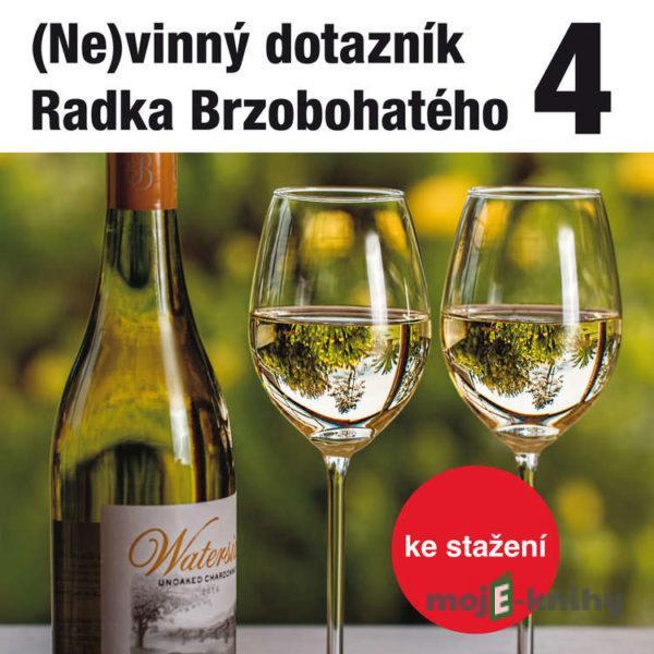 (Ne)vinný dotazník Radka Brzobohatého 4. - Radoslav Brzobohatý