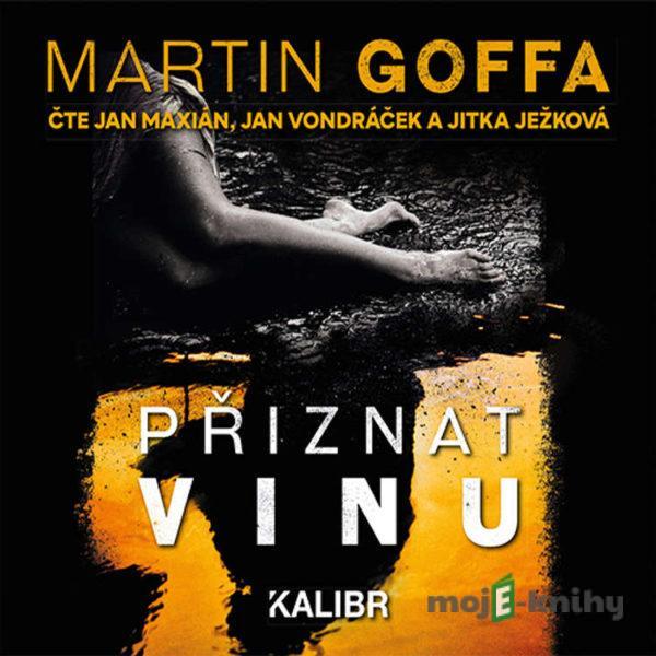 Přiznat vinu - Martin Goffa