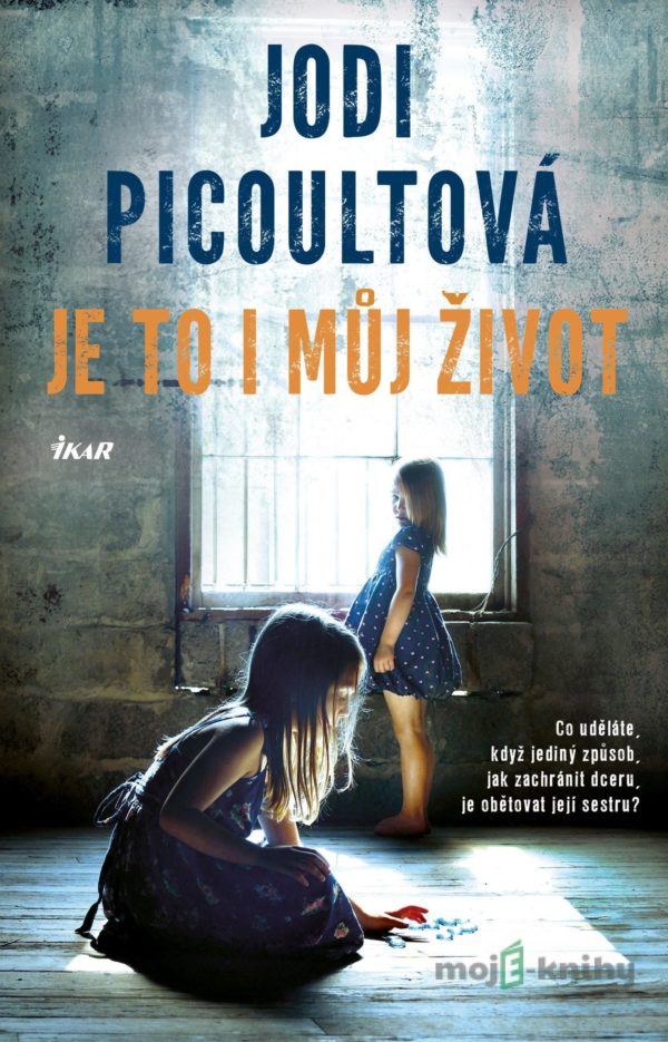 Je to i můj život - Jodi Picoult