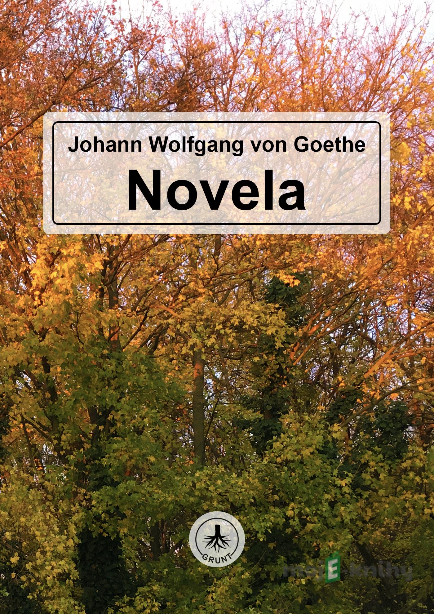 Novela - Johann Wolfgang von Goethe Novela - Johann Wolfgang von Goethe