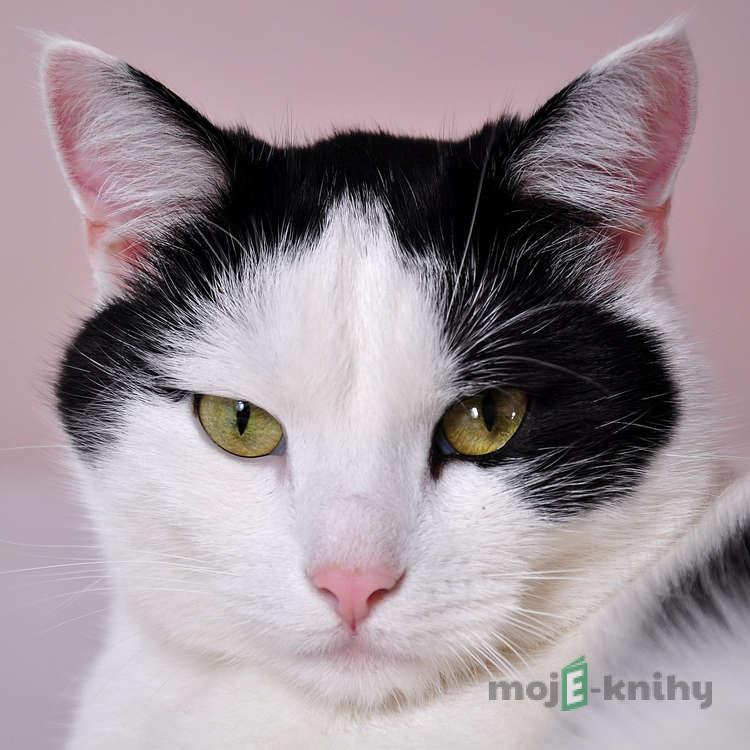 O splněných přáních - Dagmar Langová O splněných přáních - Dagmar Langová