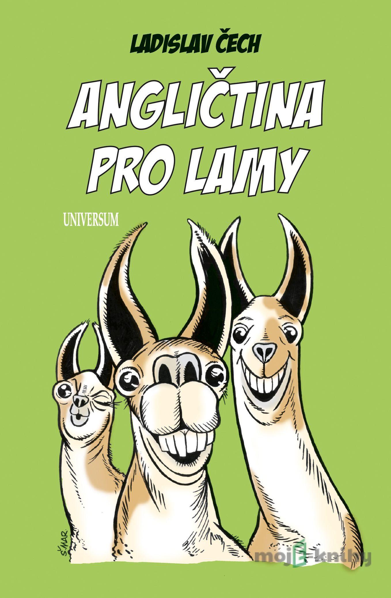 Angličtina pro lamy - Ladislav Čech Angličtina pro lamy - Ladislav Čech