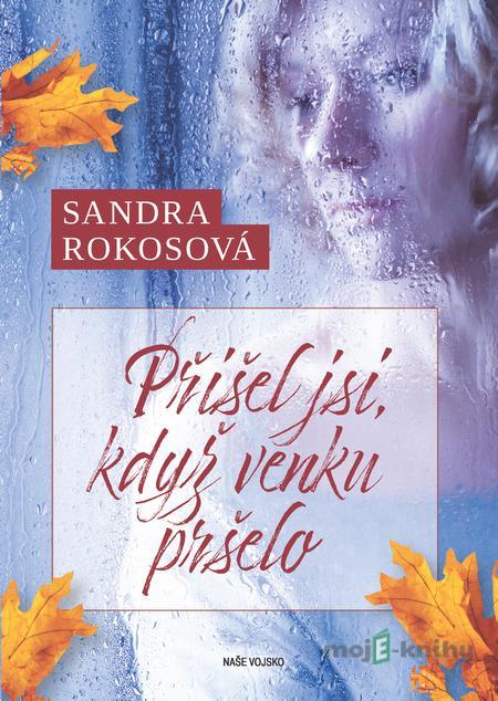 Přišel jsi, když venku pršelo - Sandra Rokosová Přišel jsi, když venku pršelo - Sandra Rokosová