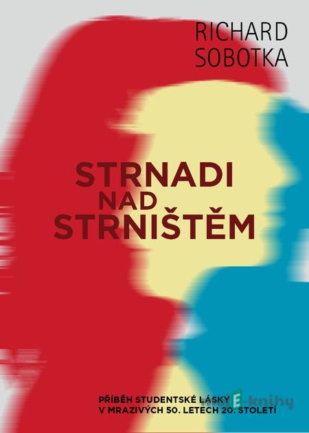 Strnadi nad strništěm - Richard Sobotka Strnadi nad strništěm - Richard Sobotka