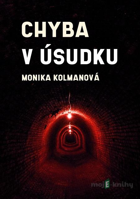 Chyba v úsudku - Monika Kolmanová Chyba v úsudku - Monika Kolmanová