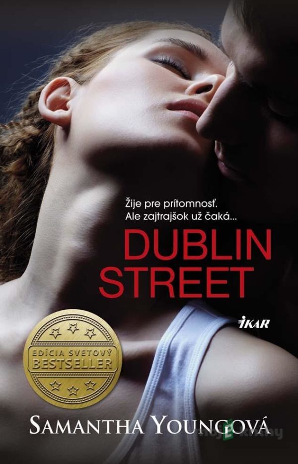 Dublin Street - Samantha Young