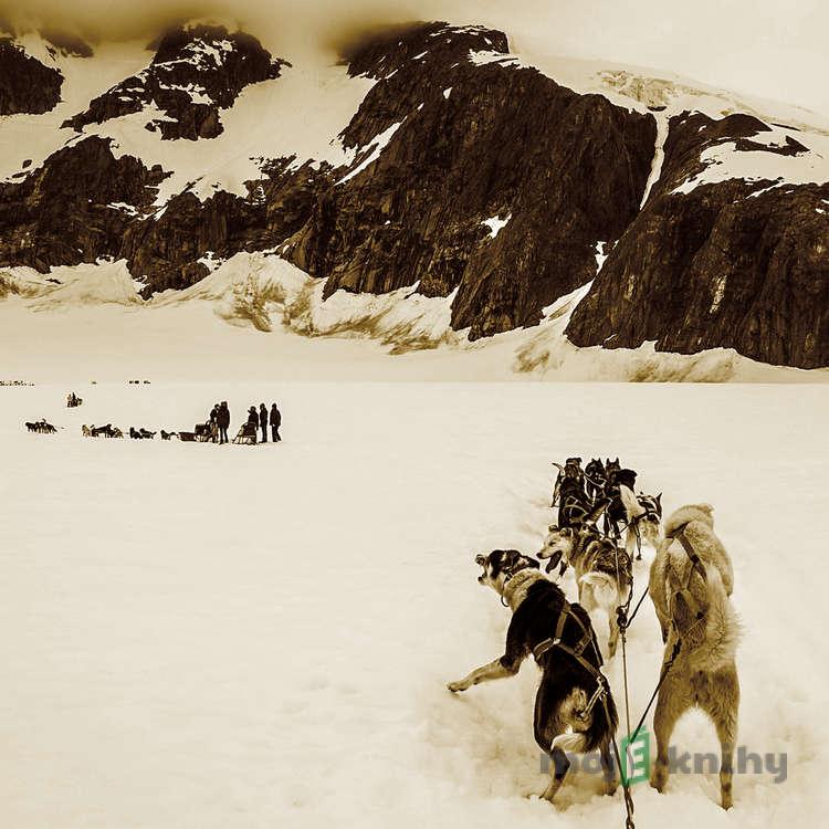 Zářící den - Jack London Zářící den - Jack London