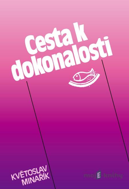 Cesta k dokonalosti - Květoslav Minařík Cesta k dokonalosti - Květoslav Minařík