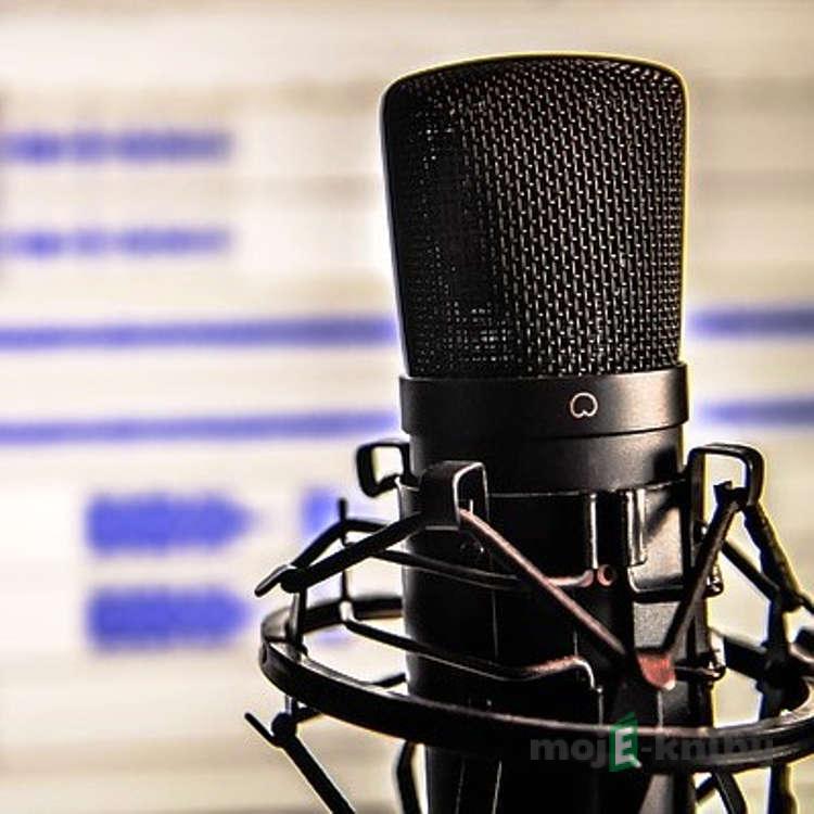 Hříchy pro posluchače rozhlasu 8 - Aktuální reportáž - Jiří Hubička Hříchy pro posluchače rozhlasu 8 - Aktuální reportáž - Jiří Hubička