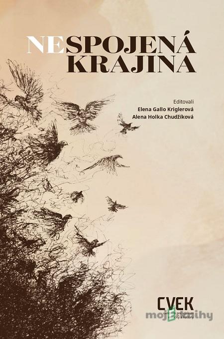 Nespojená krajina - Kriglerová Gallo Elena, Chudžíková Holka Alenka (eds.) Nespojená krajina - Kriglerová Gallo Elena, Chudžíková Holka Alenka (eds.)