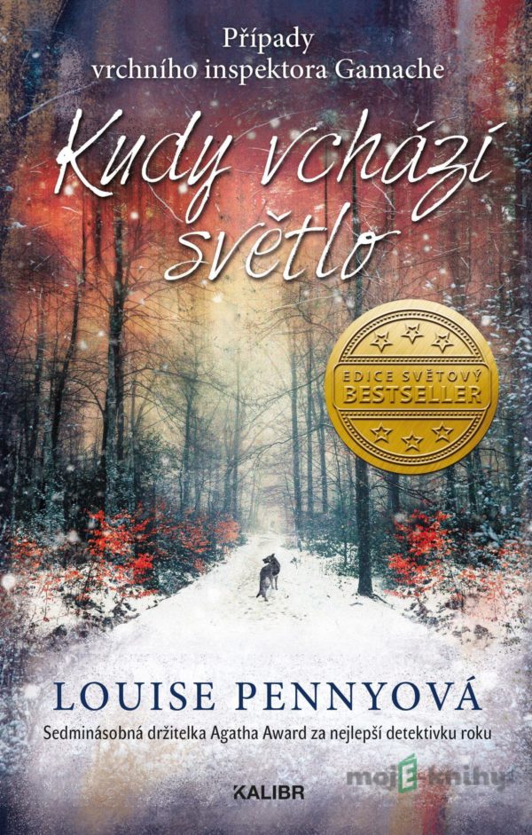 Kudy vchází světlo - Louise Penny