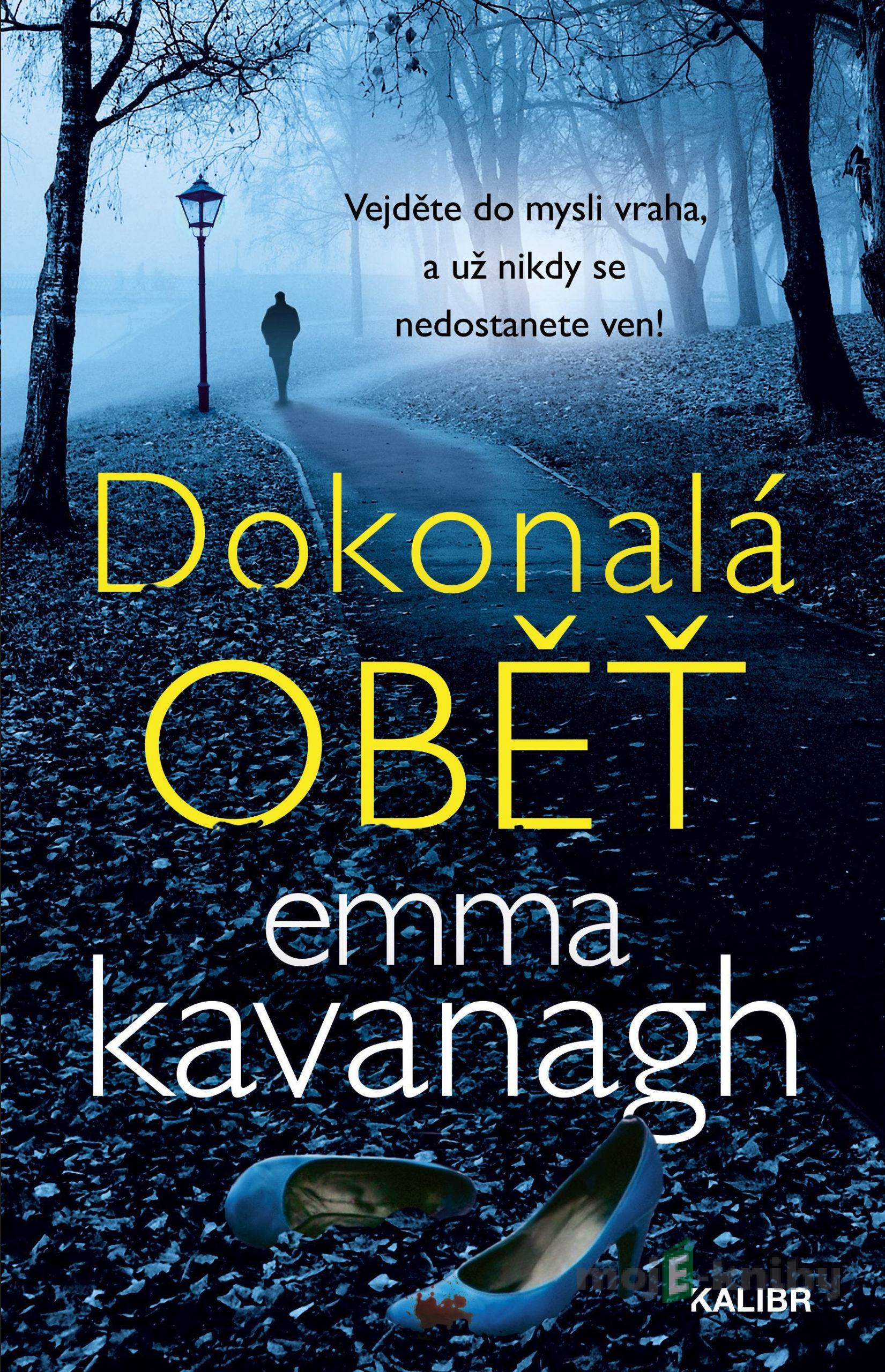 Dokonalá oběť - Emma Kavanagh Dokonalá oběť - Emma Kavanagh