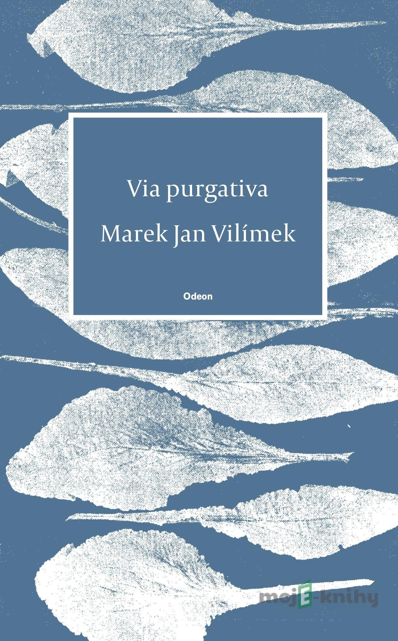 Via purgativa - Marek Jan Vilímek Via purgativa - Marek Jan Vilímek