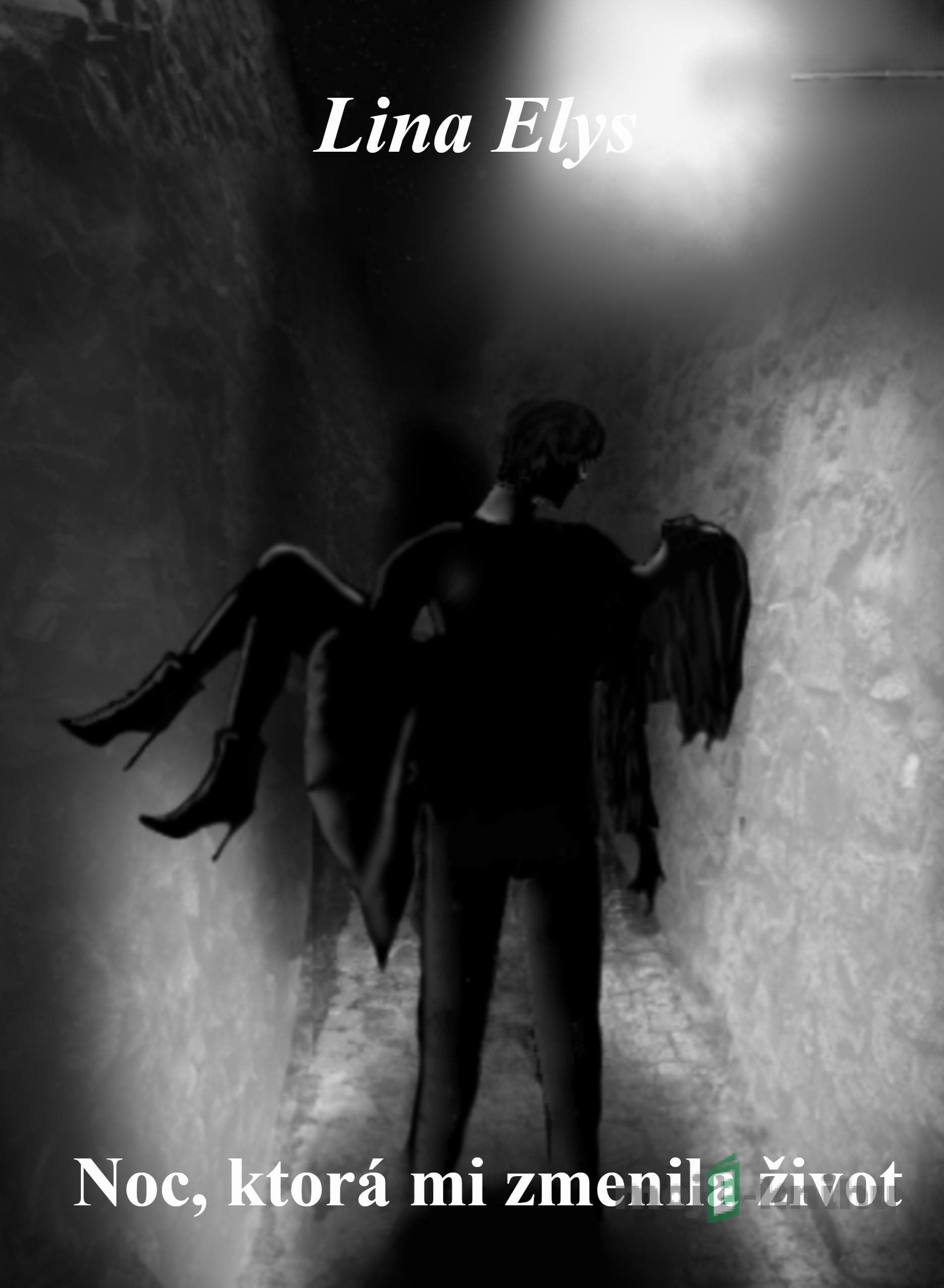 Noc, ktorá mi zmenila život - Lina Elys Noc, ktorá mi zmenila život - Lina Elys