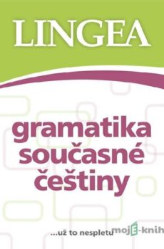 Gramatika současné češtiny