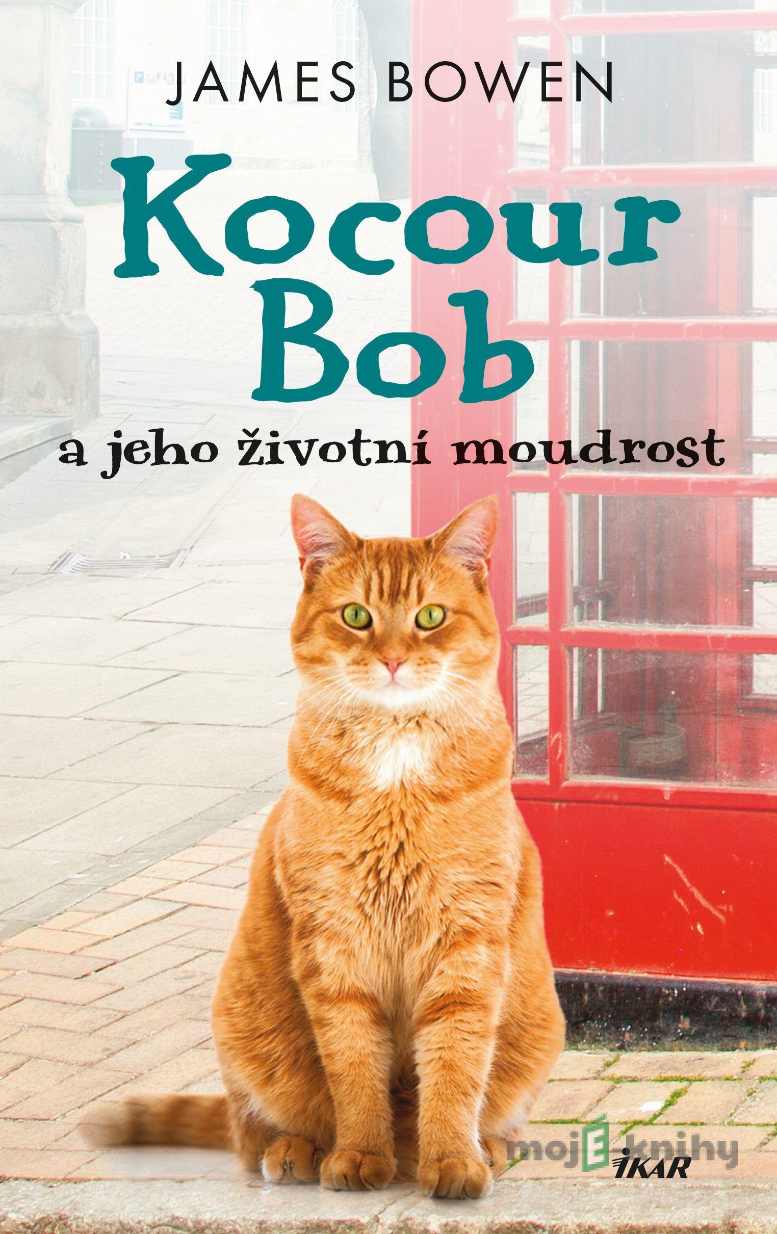 Kocour Bob a jeho životní moudrost - James Bowen Kocour Bob a jeho životní moudrost - James Bowen