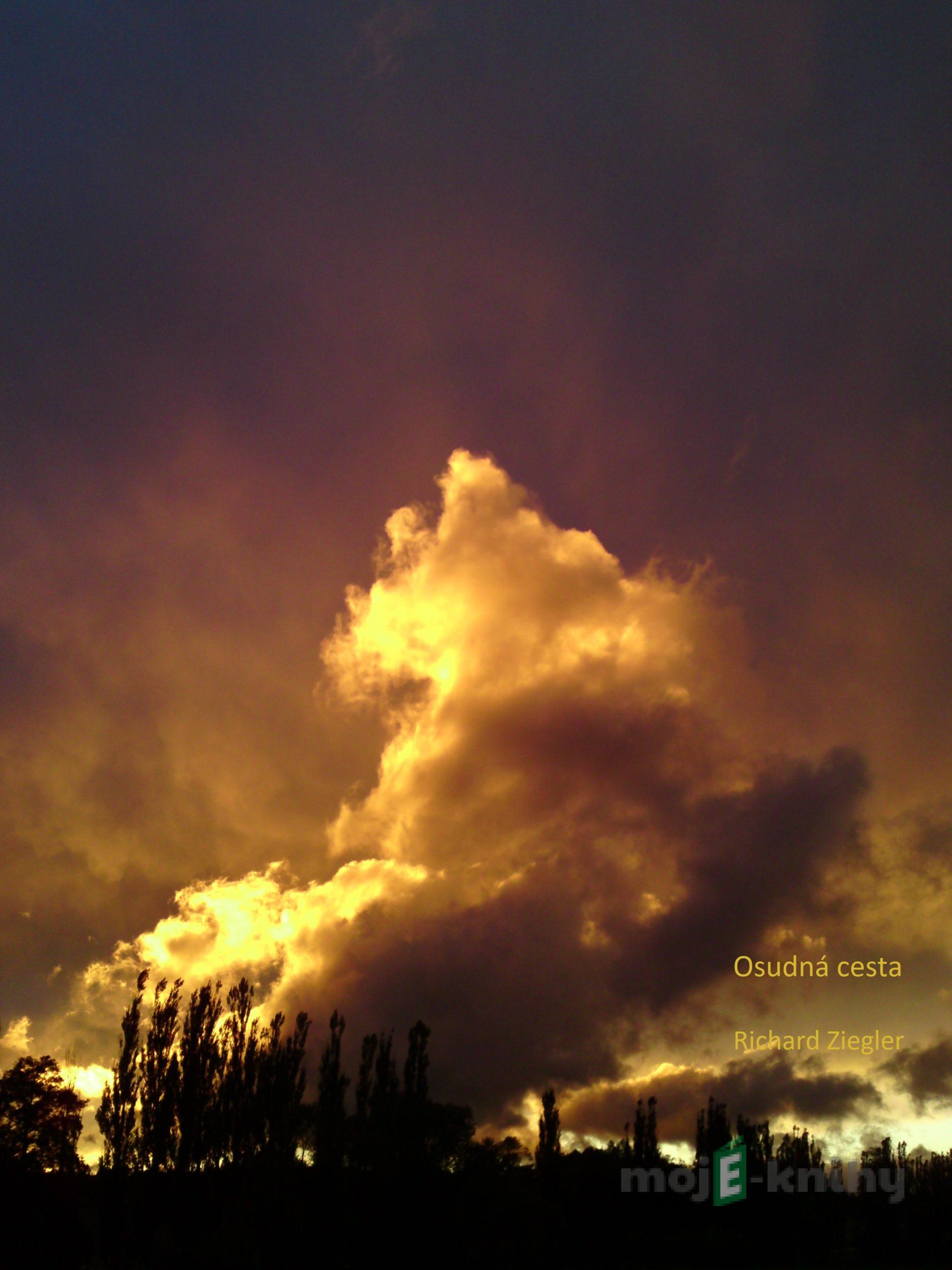 Osudná cesta - Richard Ziegler Osudná cesta - Richard Ziegler