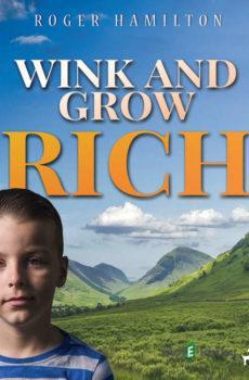Wink and Grow Rich 2 (EN) - Roger Hamilton