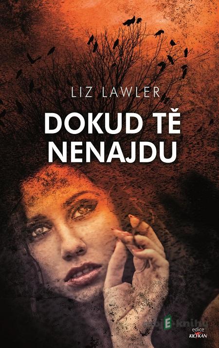 Dokud tě nenajdu - Liz Lawler Dokud tě nenajdu - Liz Lawler