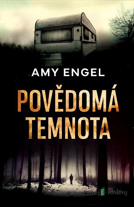 Povědomá temnota - Amy Engel Povědomá temnota - Amy Engel