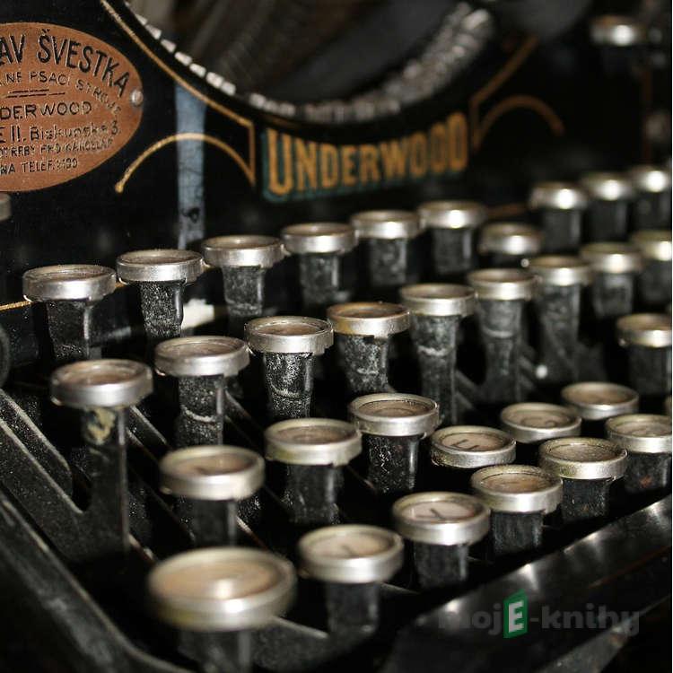 Hlasy českých literátů Hlasy českých literátů