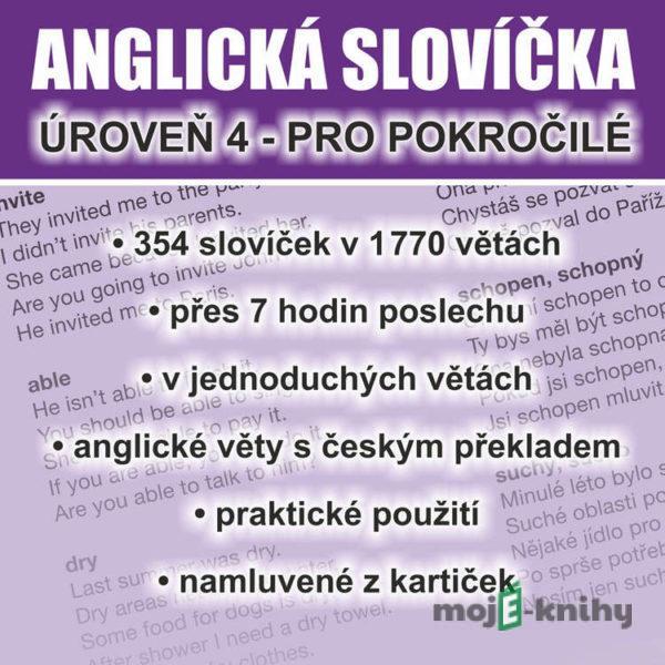 Anglická slovíčka - úroveň 4 pro pokročilé - Richard Ludvík