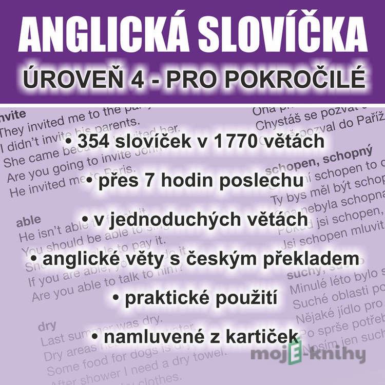 Anglická slovíčka - úroveň 4 pro pokročilé - Richard Ludvík Anglická slovíčka - úroveň 4 pro pokročilé - Richard Ludvík