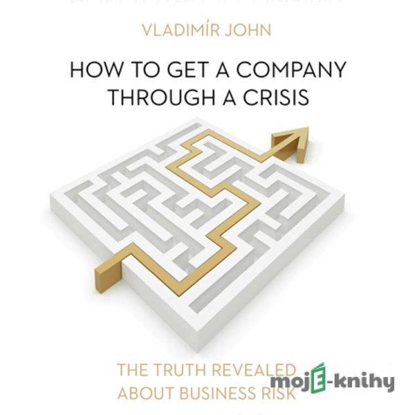 How to get a company through a crisis (EN) - Vladimír John