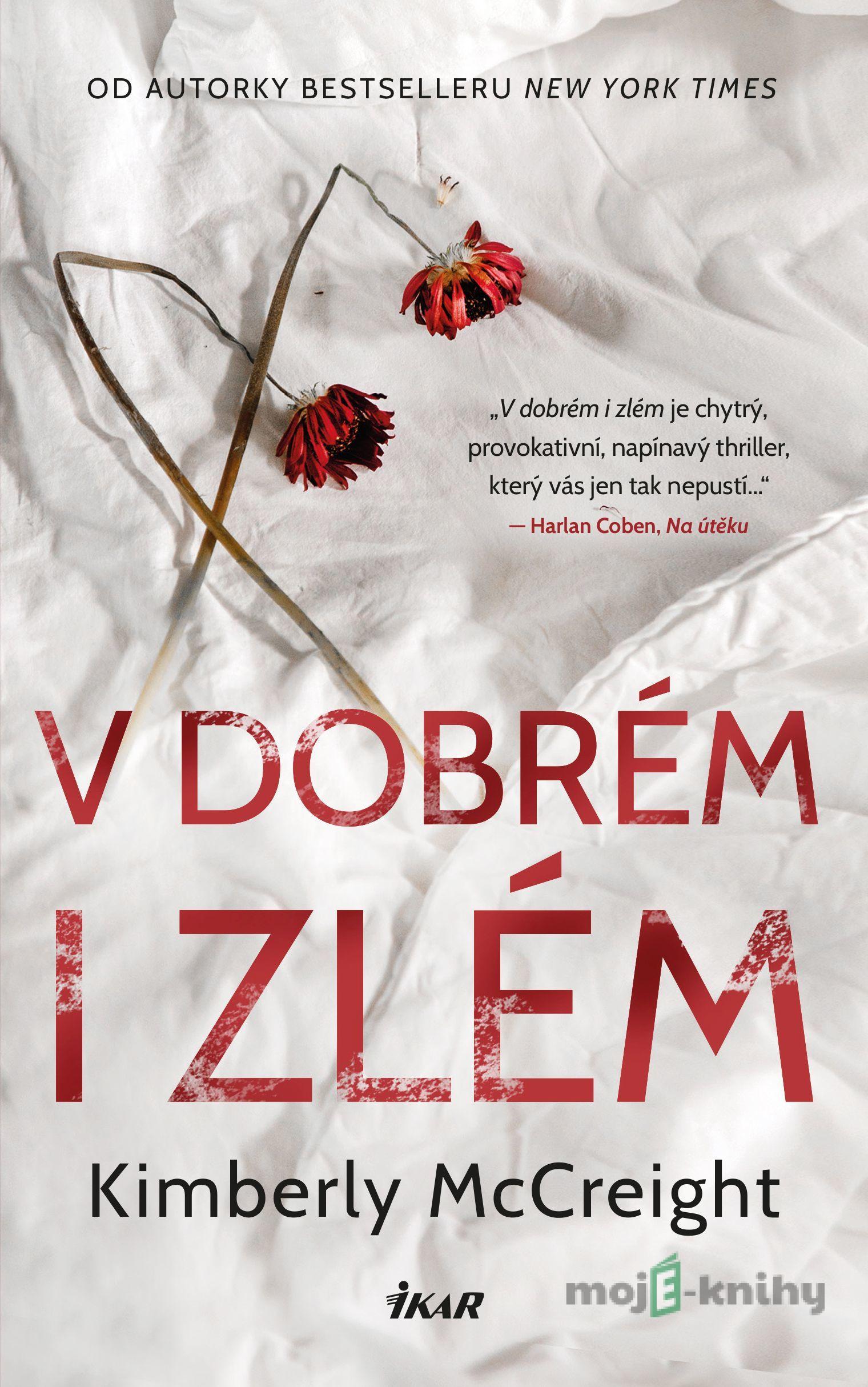 V dobrém i zlém - Kimberly McCreight V dobrém i zlém - Kimberly McCreight
