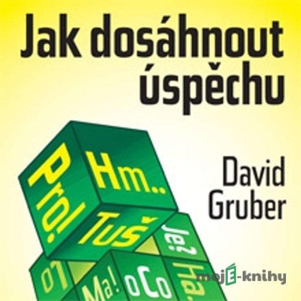 Jak dosáhnout úspěchu - David Gruber