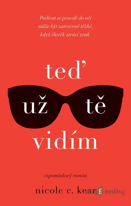 Teď už tě vidím - Nicole C. Kear Teď už tě vidím - Nicole C. Kear