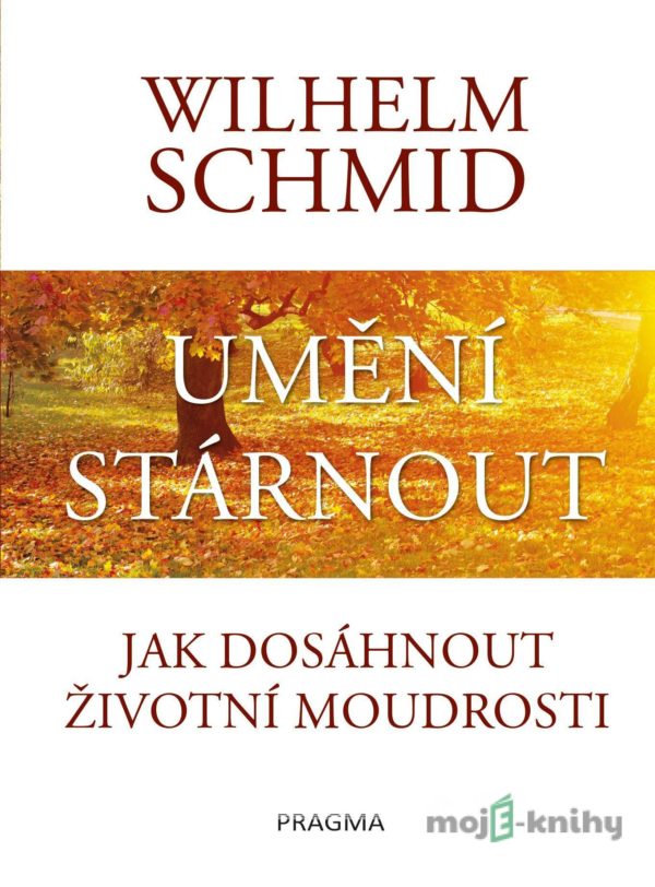 Umění stárnout - Wilhelm Schmid