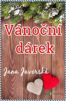 Vánoční dárek - Jana Javorská