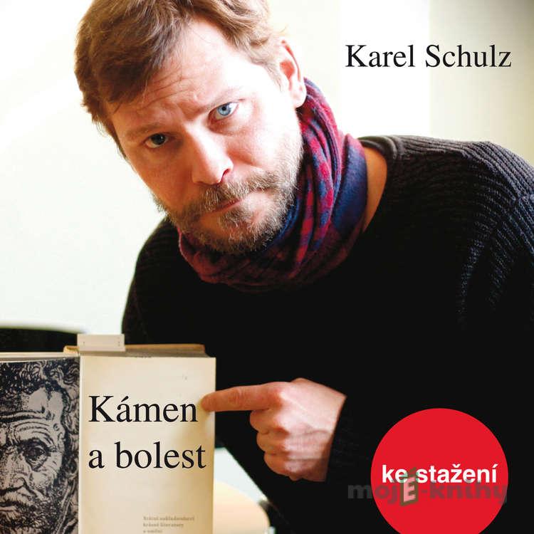 Kámen a bolest - Karel Schulz Kámen a bolest - Karel Schulz