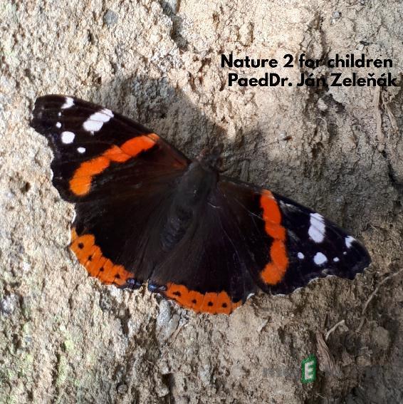 Nature for children, part 2 - Ján Zeleňák Nature for children, part 2 - Ján Zeleňák