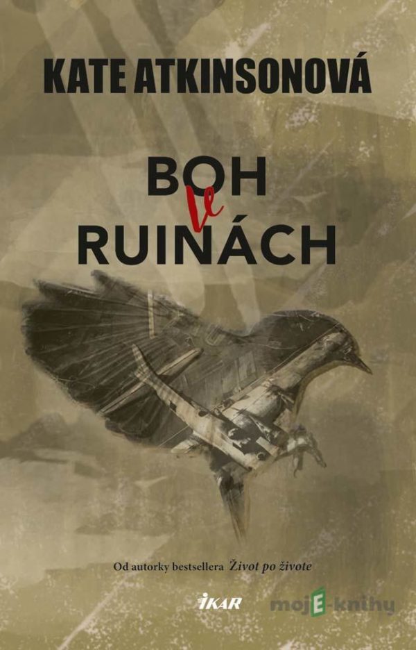 Boh v ruinách - Kate Atkinson