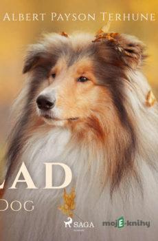 Lad: A Dog (EN) - Albert Payson Terhune