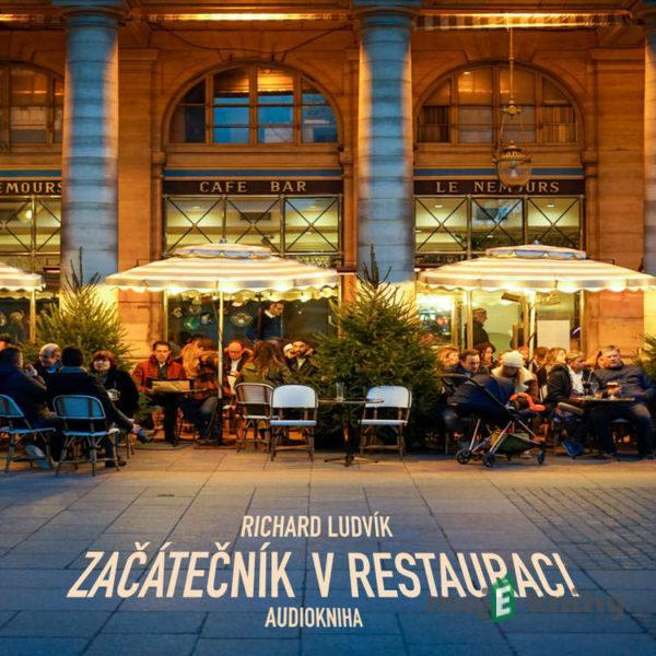 Začátečník v restauraci - Richard Ludvík