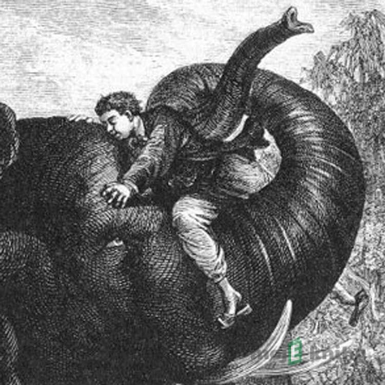 Cesta kolem světa za osmdesát dní - Jules Verne Cesta kolem světa za osmdesát dní - Jules Verne