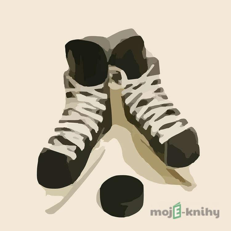 MS v ledním hokeji 1999 - Lillehammer (ČR - Finsko) - 2.finále - Aleš Procházka,Tomáš Lörincz MS v ledním hokeji 1999 - Lillehammer (ČR - Finsko) - 2.finále - Aleš Procházka,Tomáš Lörincz