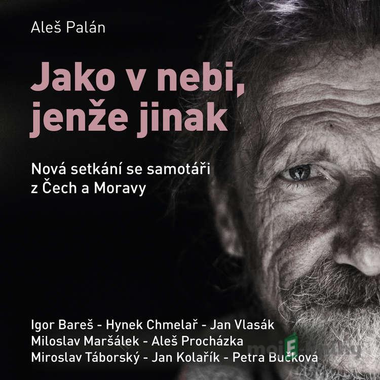 Jako v nebi, jenže jinak - Aleš Palán Jako v nebi, jenže jinak - Aleš Palán