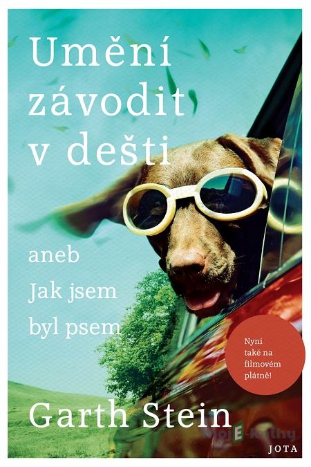 Umění závodit v dešti - Garth Stein Umění závodit v dešti - Garth Stein