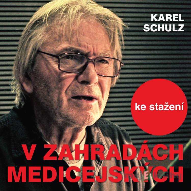 V zahradách medicejských - Karel Schulz V zahradách medicejských - Karel Schulz