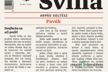 Sviňa - Arpád Šoltész