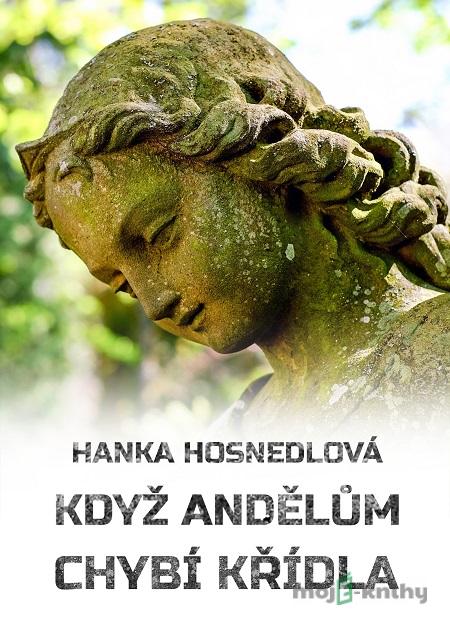 Když andělům chybí křídla - Hanka Hosnedlová Když andělům chybí křídla - Hanka Hosnedlová