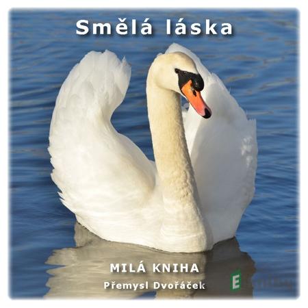 Smělá láska - Přemysl Dvořáček Smělá láska - Přemysl Dvořáček