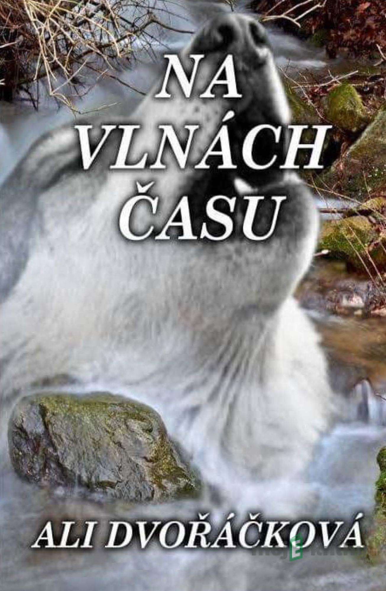 Na vlnách času - Ali Dvořáčková Na vlnách času - Ali Dvořáčková